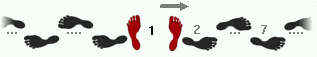 Icon for the role