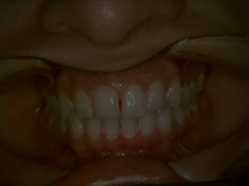 False color image render of a spectral image exhibiting no segmented classes