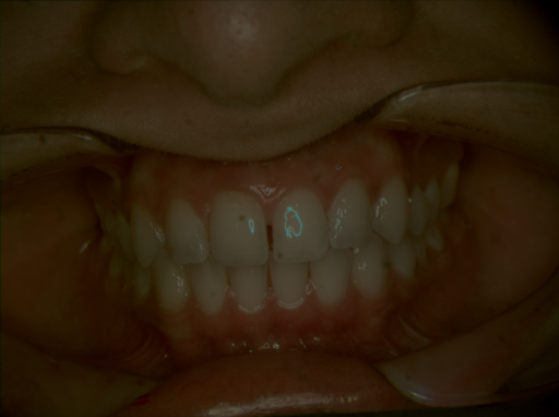 False color image render of a spectral image exhibiting no segmented classes