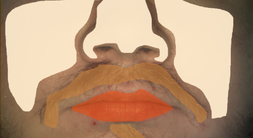 False color image render of a spectral image exhibiting hair, lip and skin