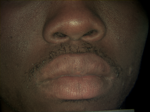 False color image render of a spectral image exhibiting no segmented classes