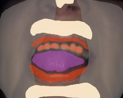 False color image render of a spectral image exhibiting lip, out of focus area, prosthetics, skin and tongue