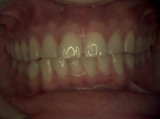 False color image render of a spectral image exhibiting no segmented classes