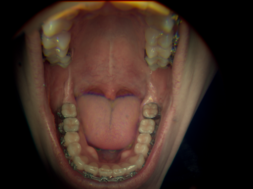 False color image render of a spectral image exhibiting no segmented classes