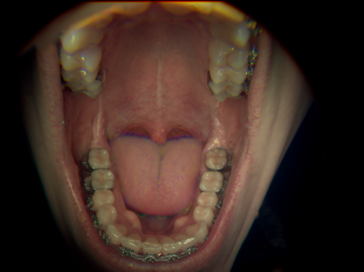 False color image render of a spectral image exhibiting no segmented classes